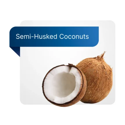 Semi-Husked Coconuts