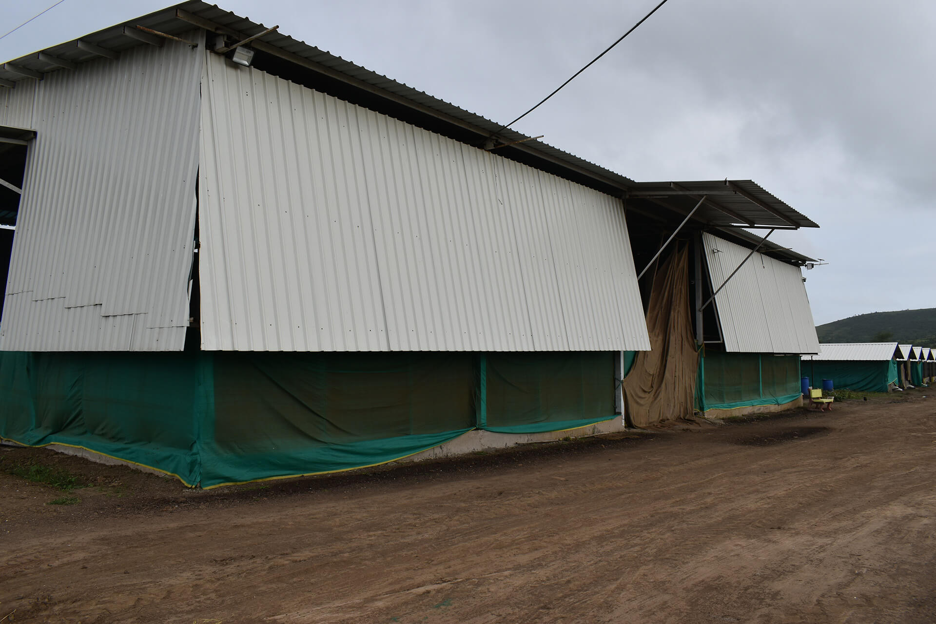 DSC_0019