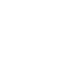 icons8-customs-64 (1)